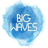 big waves logo image