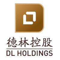 dl holdings group logo image