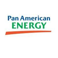 pan american energy logo image