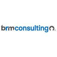 brm consulting (business risk management consulting sc)