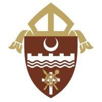 diocese of brownsville logo image