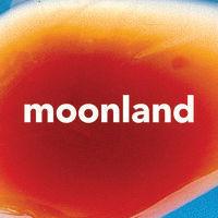 moonland wine logo image