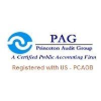 princeton audit group - pag logo image