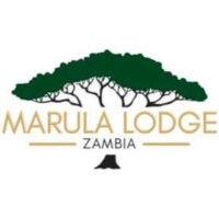 marula lodge logo image