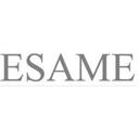 logo of Esame Pharmaceutical Business School