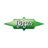 bitzer brasil logo image