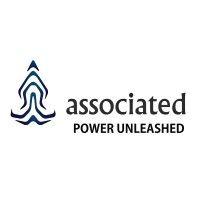 associated electrochmicals (p) ltd