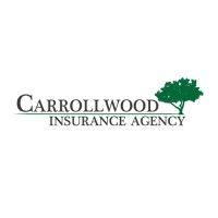 carrollwood insurance agency