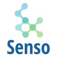 senso logo image