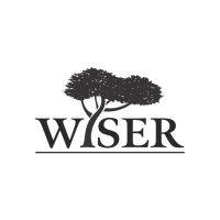 wiser international logo image