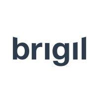 brigil logo image