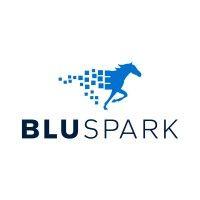 bluspark logo image