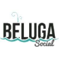 beluga social