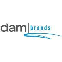 dam brands logo image