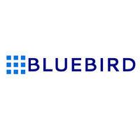 bluebird logo image