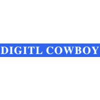 digitalcowboy