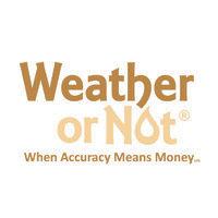 weather or not, inc. logo image