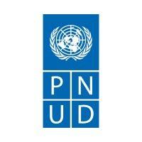 pnud brasil logo image