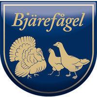 bjärefågel i torekow ab logo image