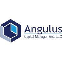 angulus capital management, llc logo image