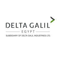 delta galil egypt logo image