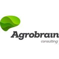 agrobrain consultoria logo image