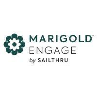 marigold engage by sailthru logo image