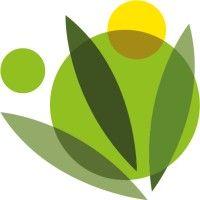 bamboo village logo image