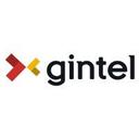 logo of Gintel As