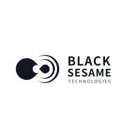 black sesame technologies (singapore) pte ltd