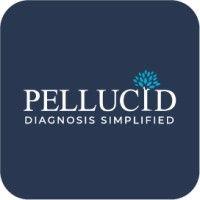 pellucid networks pte. ltd. logo image