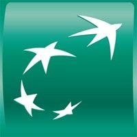 bnl bnp paribas logo image