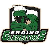 erding gladiators eishockey logo image