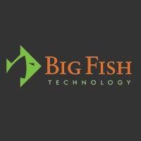 big fish technology logo image