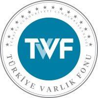 türkiye wealth fund logo image