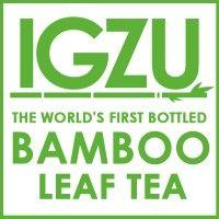 igzu logo image