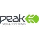 logo of Peak Well Systems