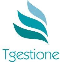 tgestione logo image