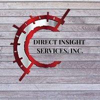 direct insight services inc. logo image