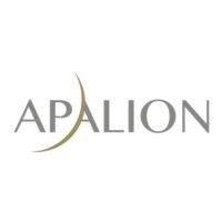 ihr erfolg durch seo apalion ag logo image