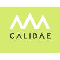 calidae logo image