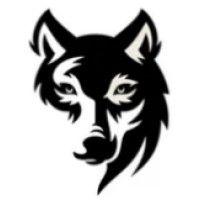 wolf run llc logo image