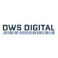 dws digital kft. logo image