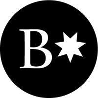 burgeonstar logo image