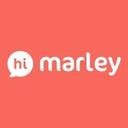 logo of Hi Marley