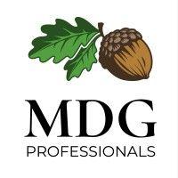 mdg professionals, llc