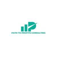 cfowise executive consulting llc dba path to profits consulting