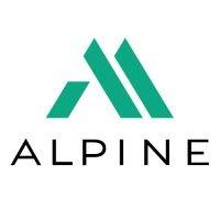 alpine immobilien ag logo image