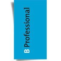 b professional b.v. logo image