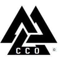 valknut clothing company logo image